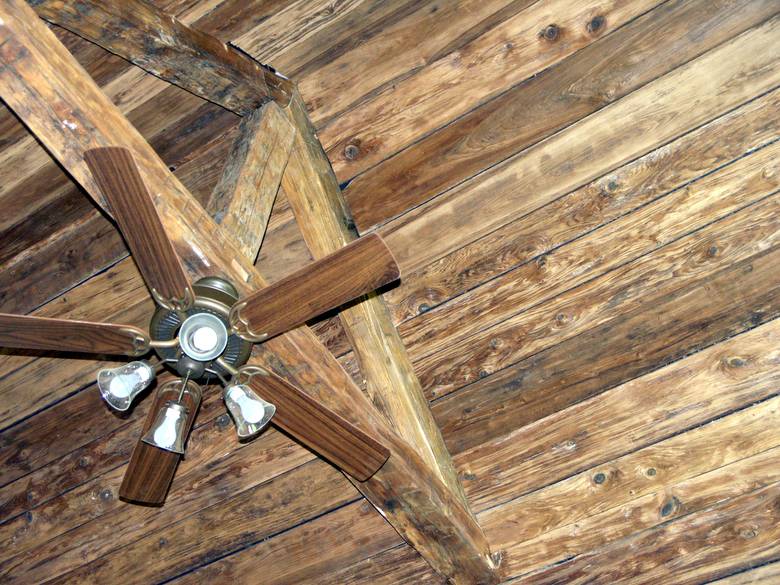 Mushroomwood Ceiling and Hand-Hewn Timbers